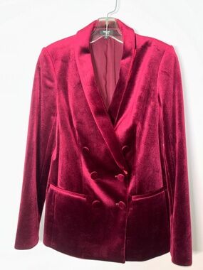 Express Womens XS Velvet Double-Breasted Jacket Shawl Collar EXCELLENT CONDITION